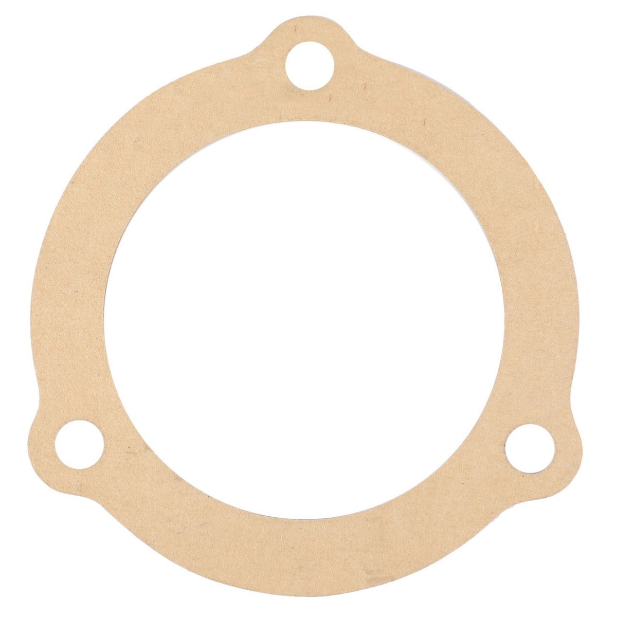 AGCO 1675294M1 oil filter gasket