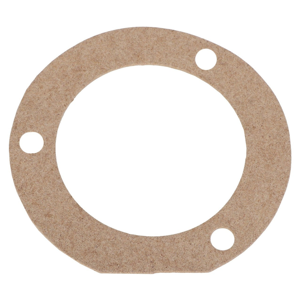AGCO (OEM) 1750079M2 Water Pump Support Gasket