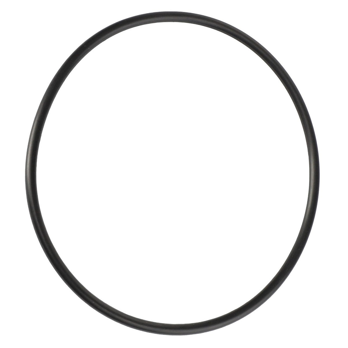 AGCO 1751687M1 O-ring