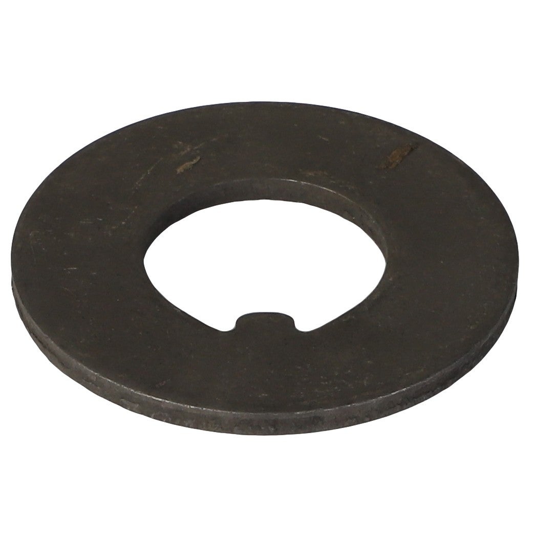 AGCO 180010M2 Washer