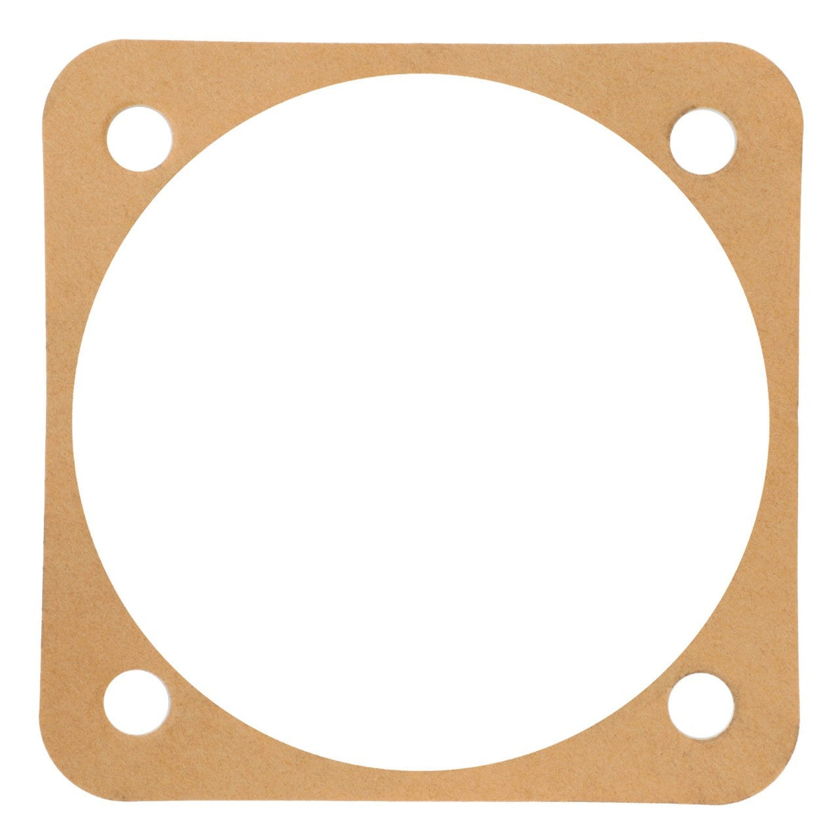 AGCO (OEM) 180434M1 Main Drive Shaft Retainer Gasket