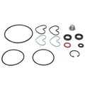 AGCO 1810839M92 steering pump seal kit
