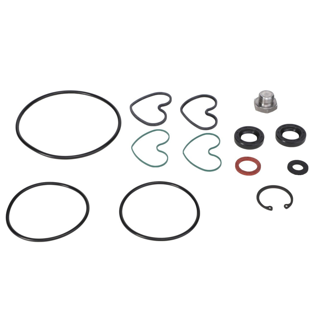 AGCO 1810839M92 steering pump seal kit