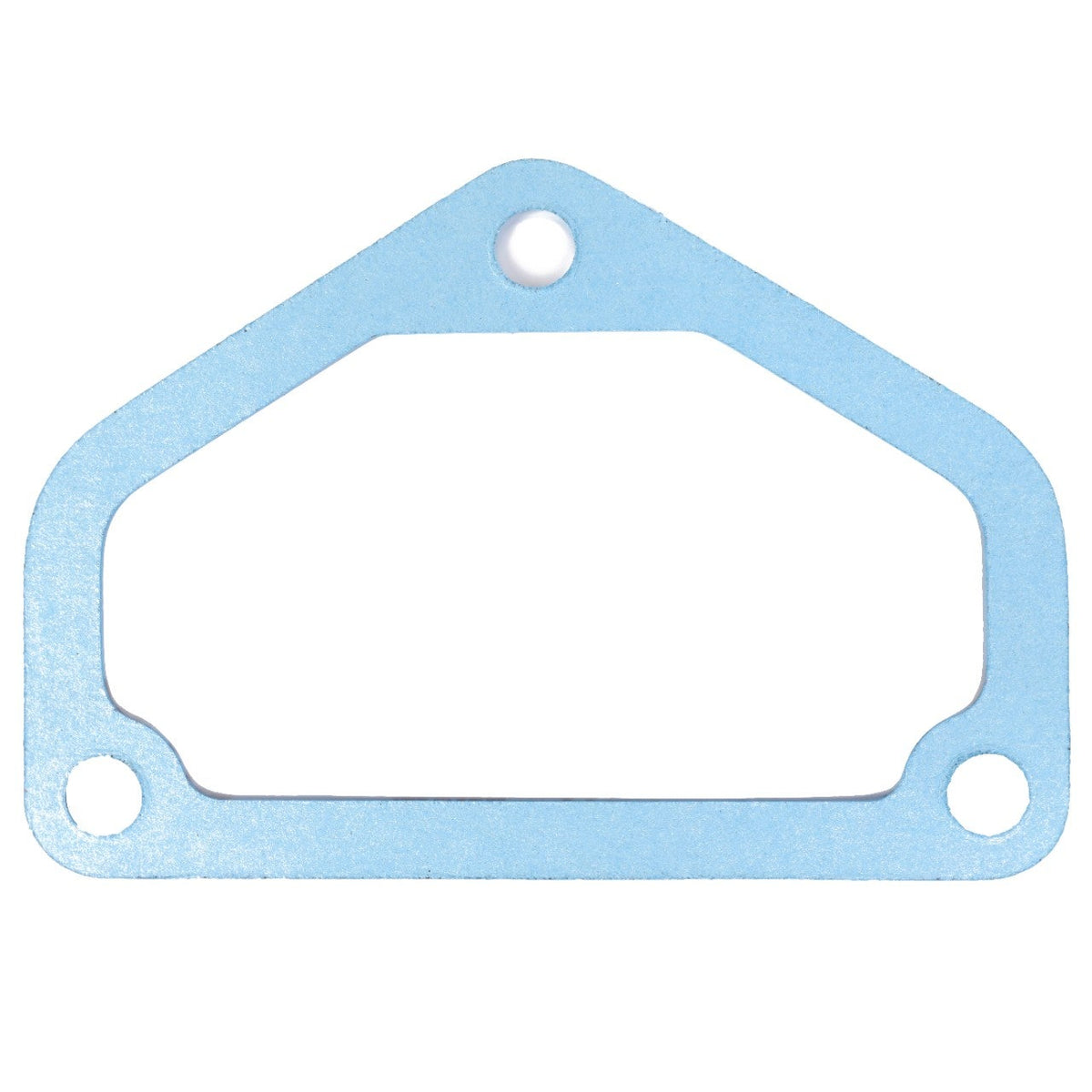AGCO (OEM) 1860960M2 Wet Brake Gasket