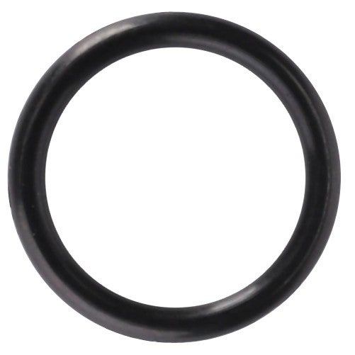 AGCO (OEM) 195561M1 O-Ring
