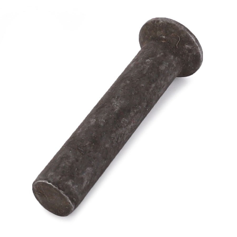 AGCO 195648M1 Rivet