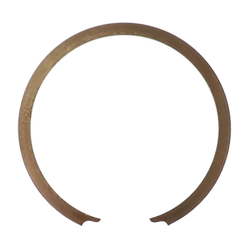 INTERNAL RETAINING RING - 195710M1