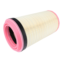 Primary Filter