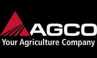 AGCO (OEM) 1052097M1 Power Steering Pump Filter for Massey Ferguson Legacy Tractors