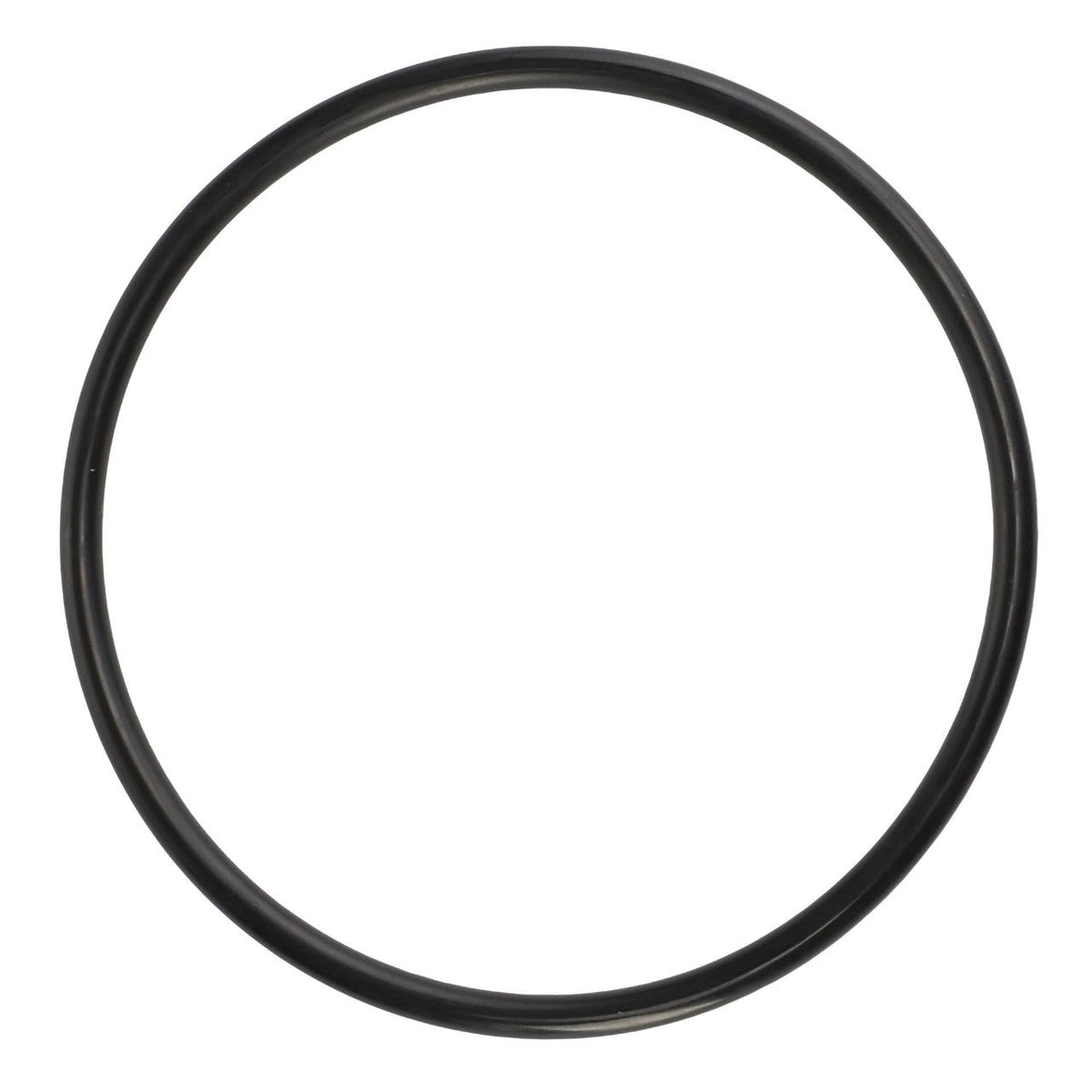 O-RING - 3004708X1