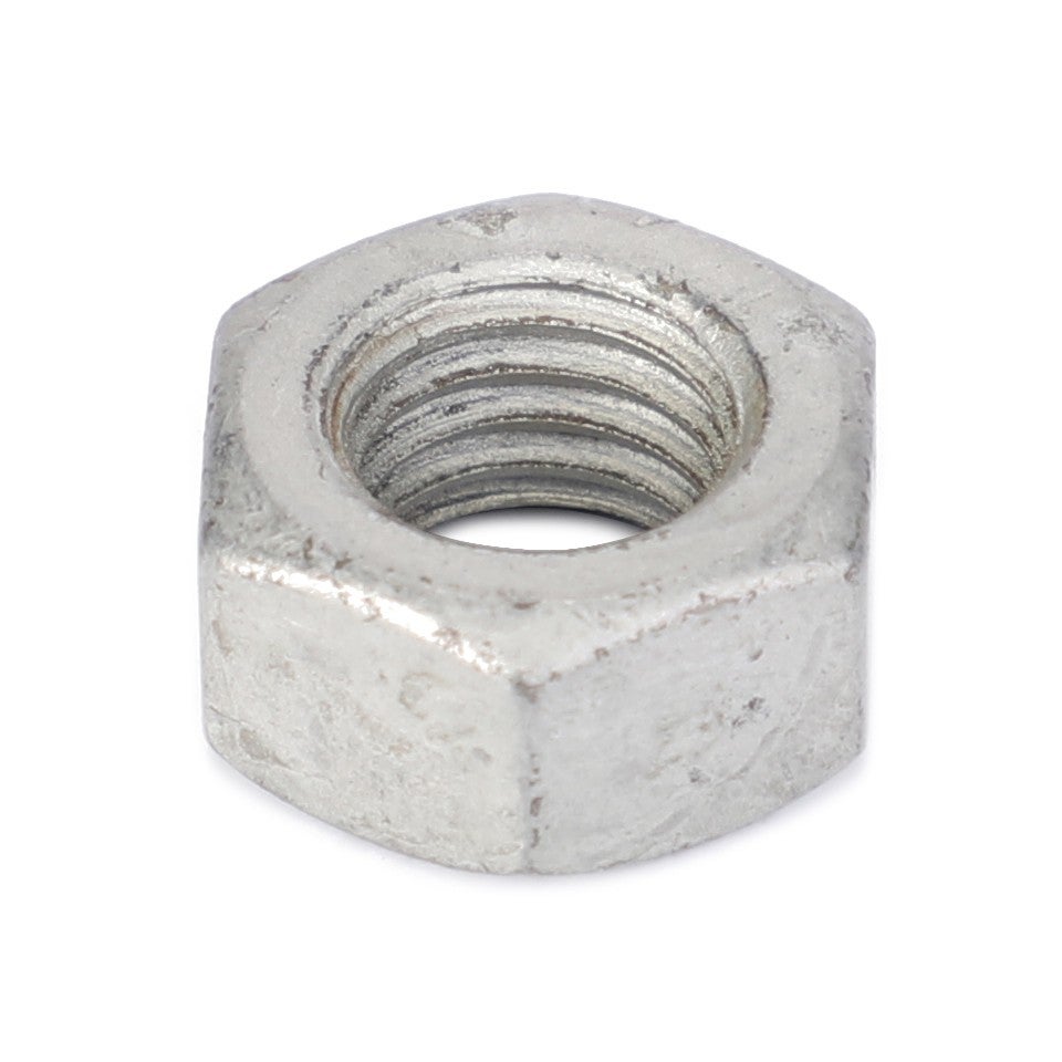 HEX NUT - 3009695X1