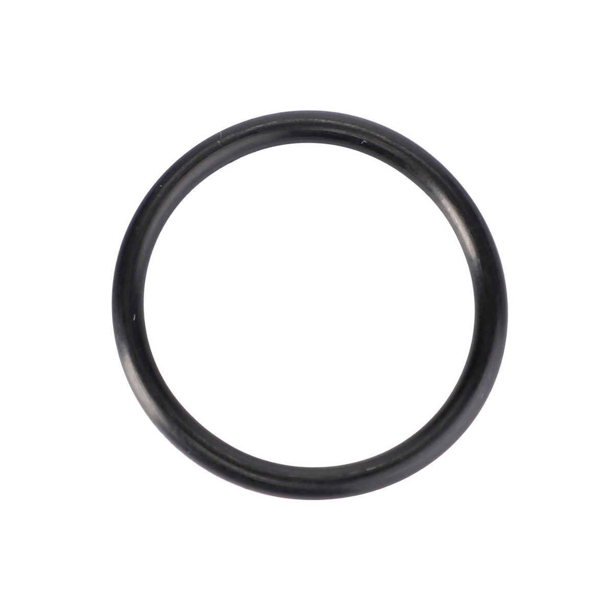 AGCO (OEM) 3019398X1 Hydraulic Line O-Ring