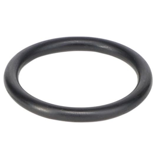 AGCO (OEM) 4264754M1 Massey Ferguson Hydrostatic Filter O-Ring OEM