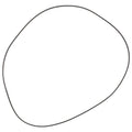 AGCO (OEM) 3412317M1 Rear Final Drive O-Ring