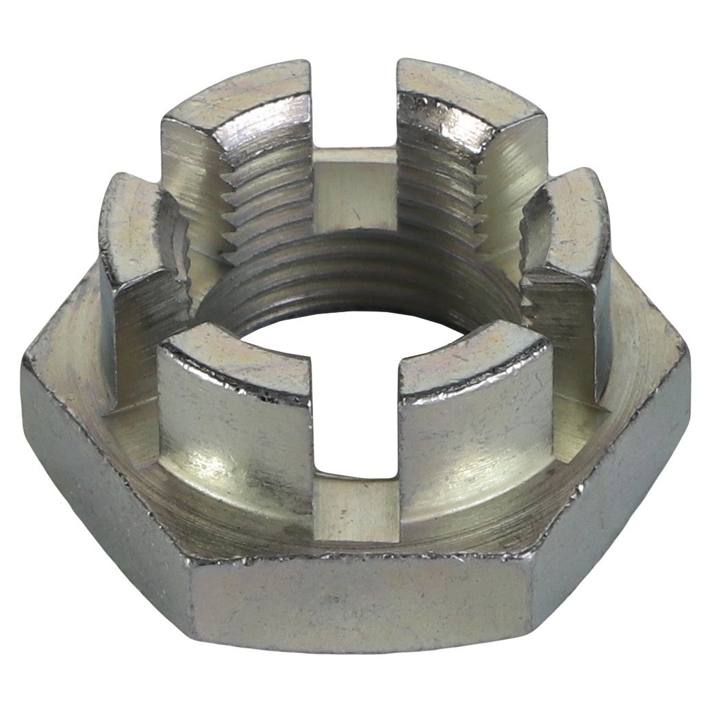 NUT - 3428888M1