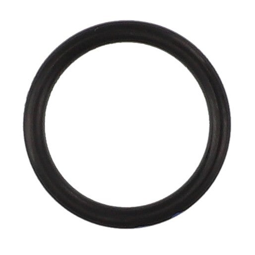 O-RING - 3702465M1