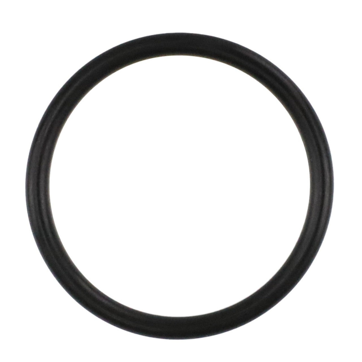 O-RING - 3704951M1