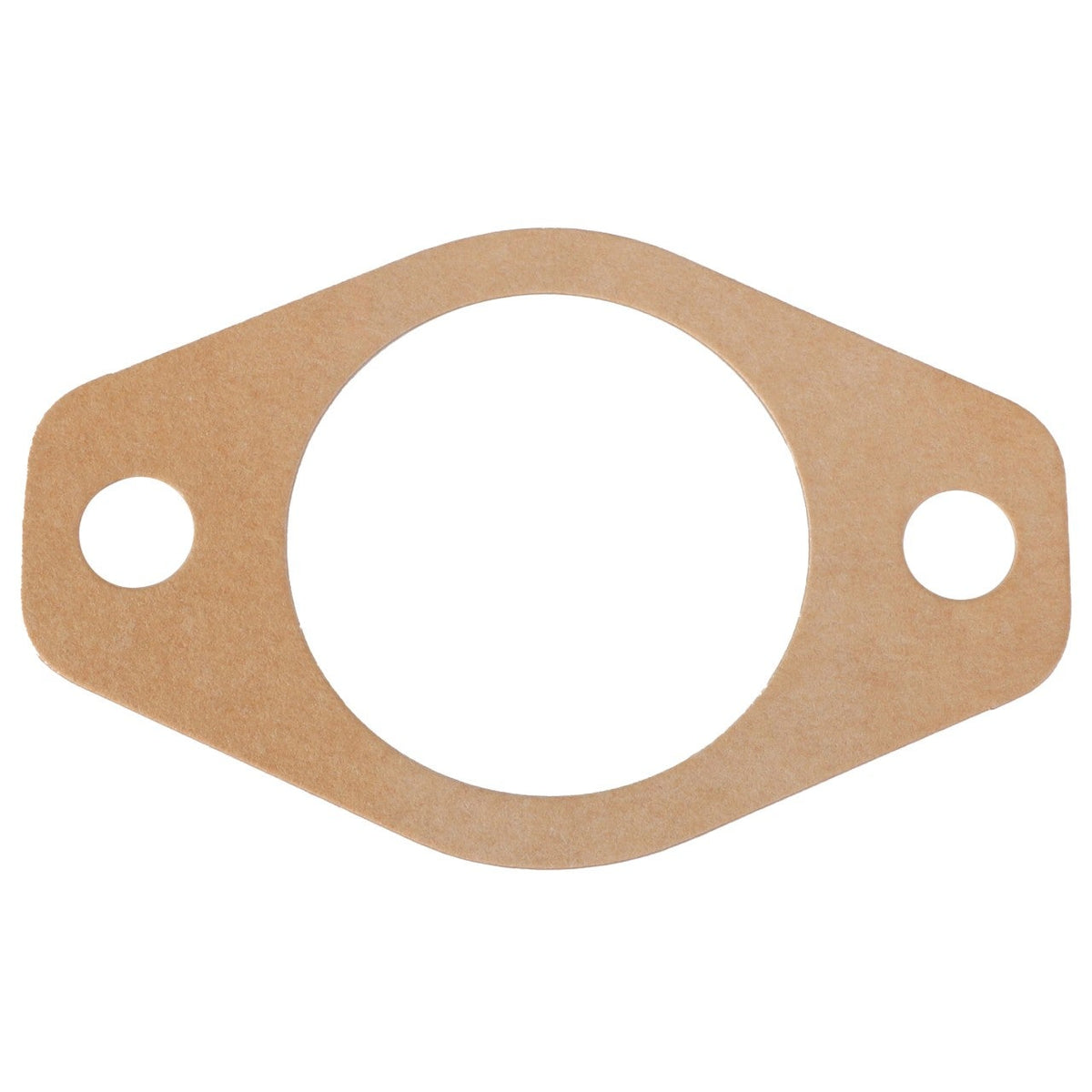 AGCO (OEM) 3705055M1 Hydraulic Pump Gasket