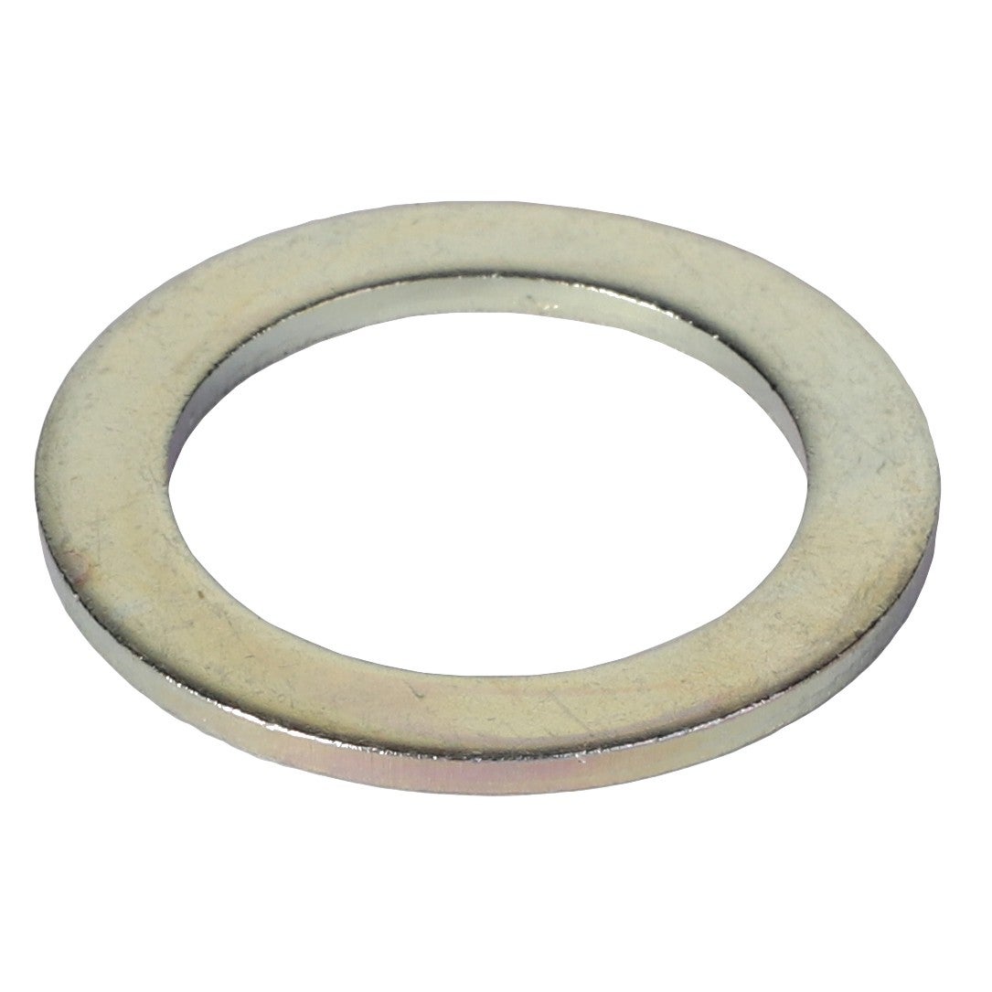 FLAT WASHER - 3707962M1