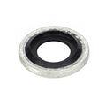 AGCO (OEM) 4224454M1 Fuel Injection Washer
