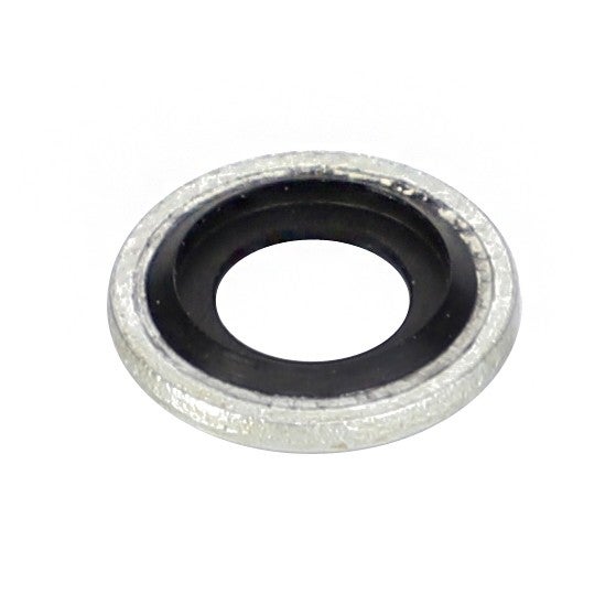 AGCO (OEM) 4224454M1 Fuel Injection Washer