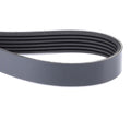 AGCO (OEM) 4350583M2 Serpentine Belt for Massey Ferguson and Challenger Tractors