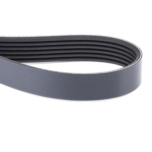 AGCO (OEM) 4350583M2 Serpentine Belt for Massey Ferguson and Challenger Tractors