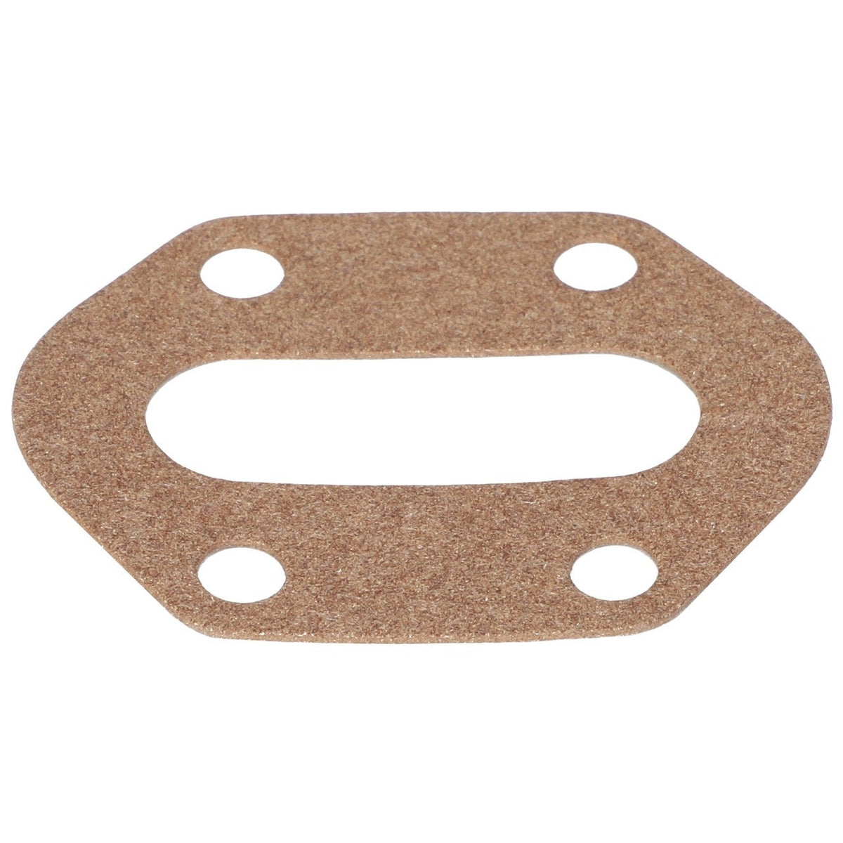 AGCO (OEM) 70222542 Hydraulic Pump Gasket