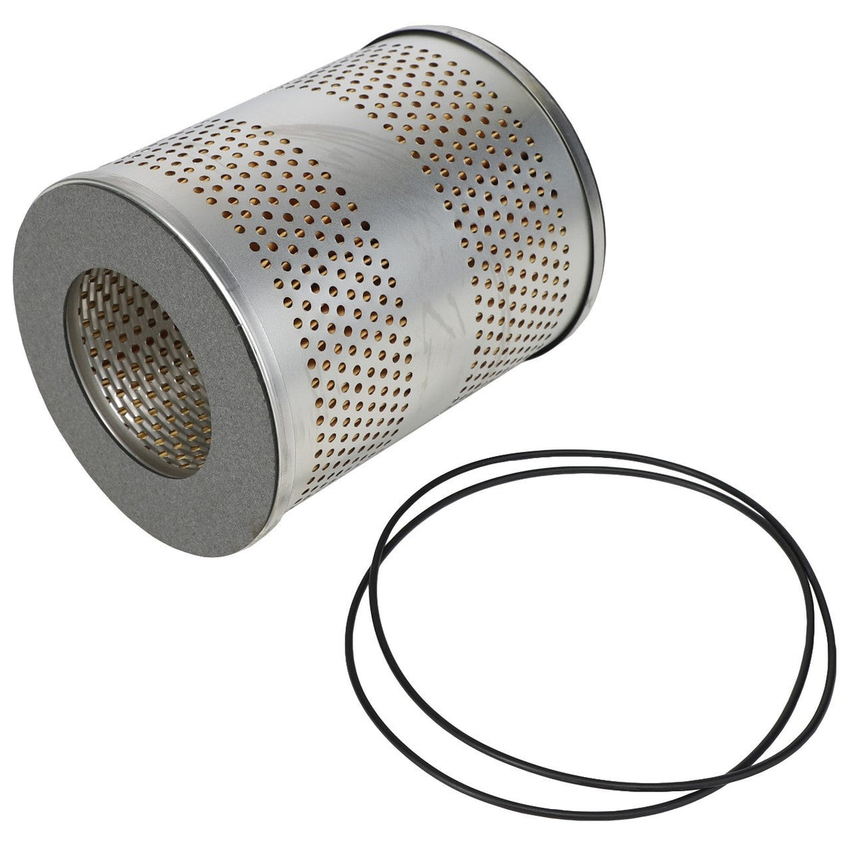 AGCO (OEM) 70269921 Differential Hydraulic Filter Cartridge
