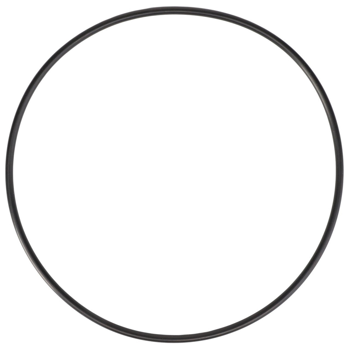 AGCO (OEM) 70923825 O-Ring
