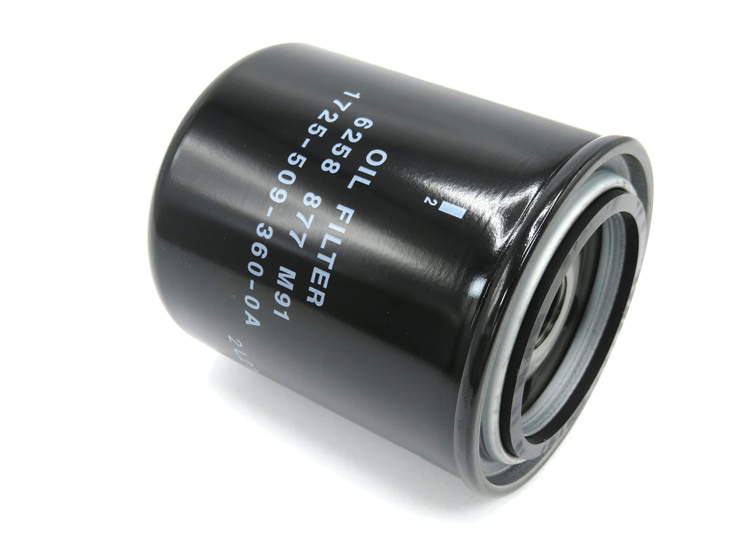 AGCO (OEM) 6258877M91 Hydraulic Filter for Massey Ferguson Tractors