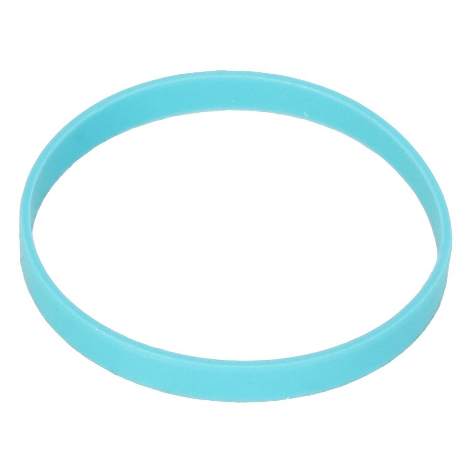 AGCO (OEM) 772740M1 PTO Clutch Ring