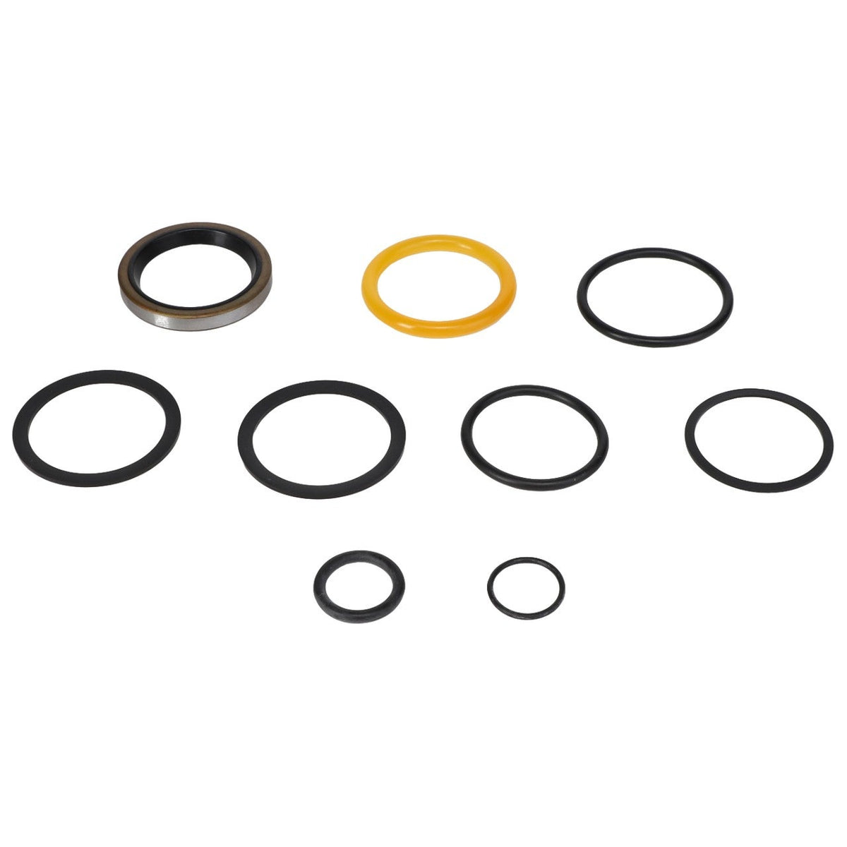 AGCO (OEM) 837146M91 Loader Cylinder Seal