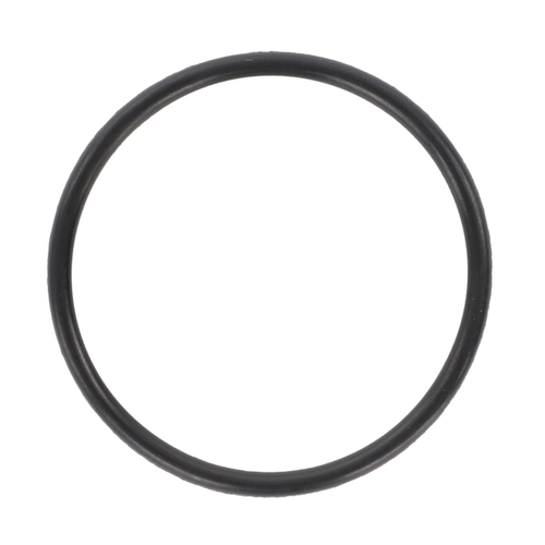 O-Ring, Steering Cylinder - 1884795M1
