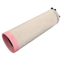 Engine Air Filter