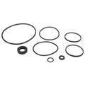 AGCO (OEM) 1810417M91 Seals Kit