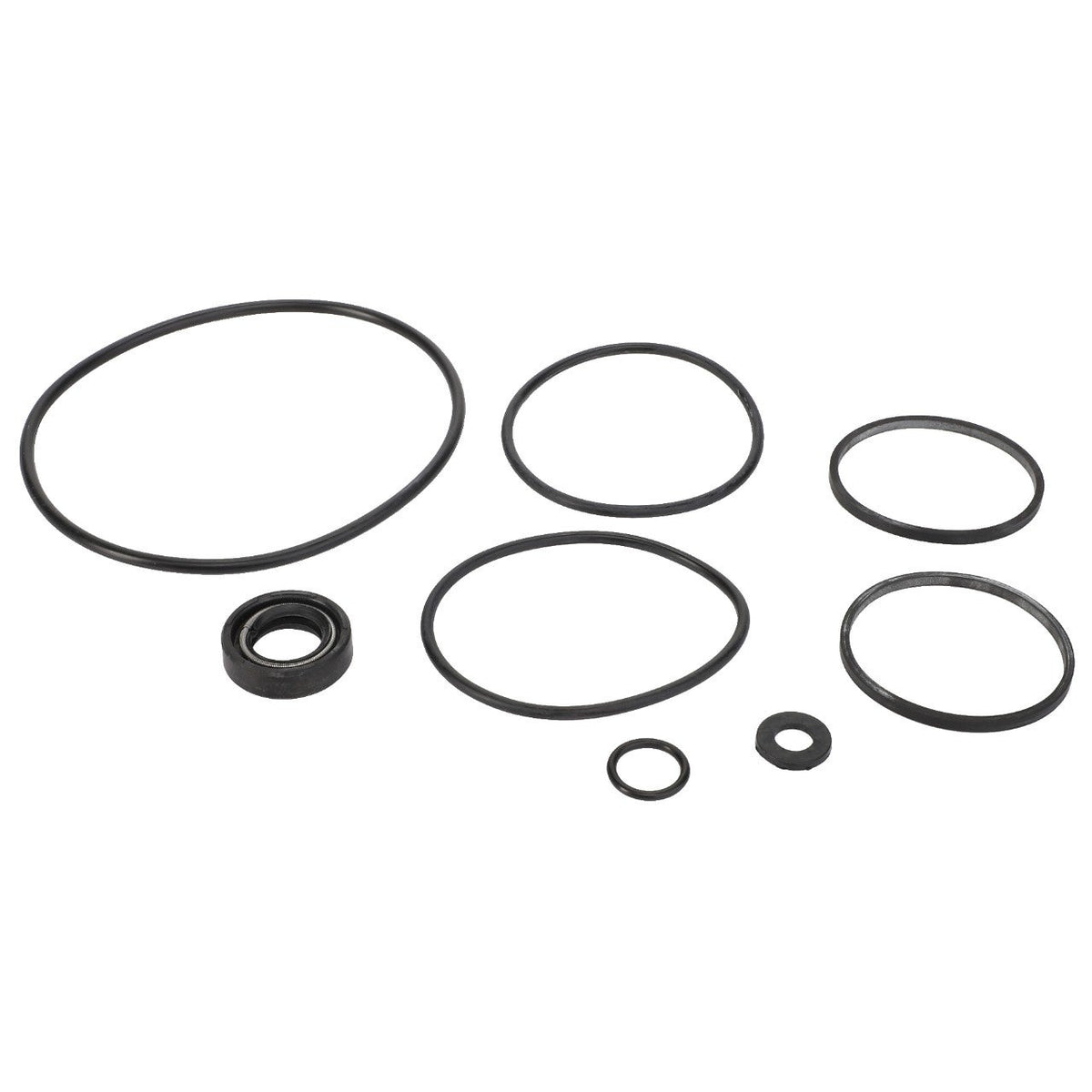 AGCO (OEM) 1810417M91 Seals Kit