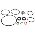 AGCO (OEM) 1810618M92 Seals Kit