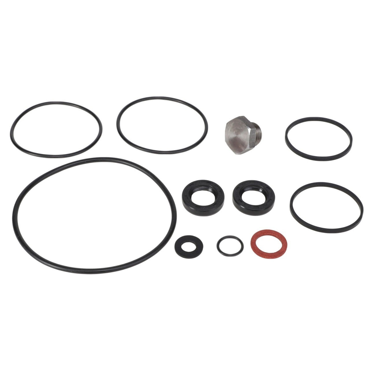 AGCO (OEM) 1810618M92 Seals Kit