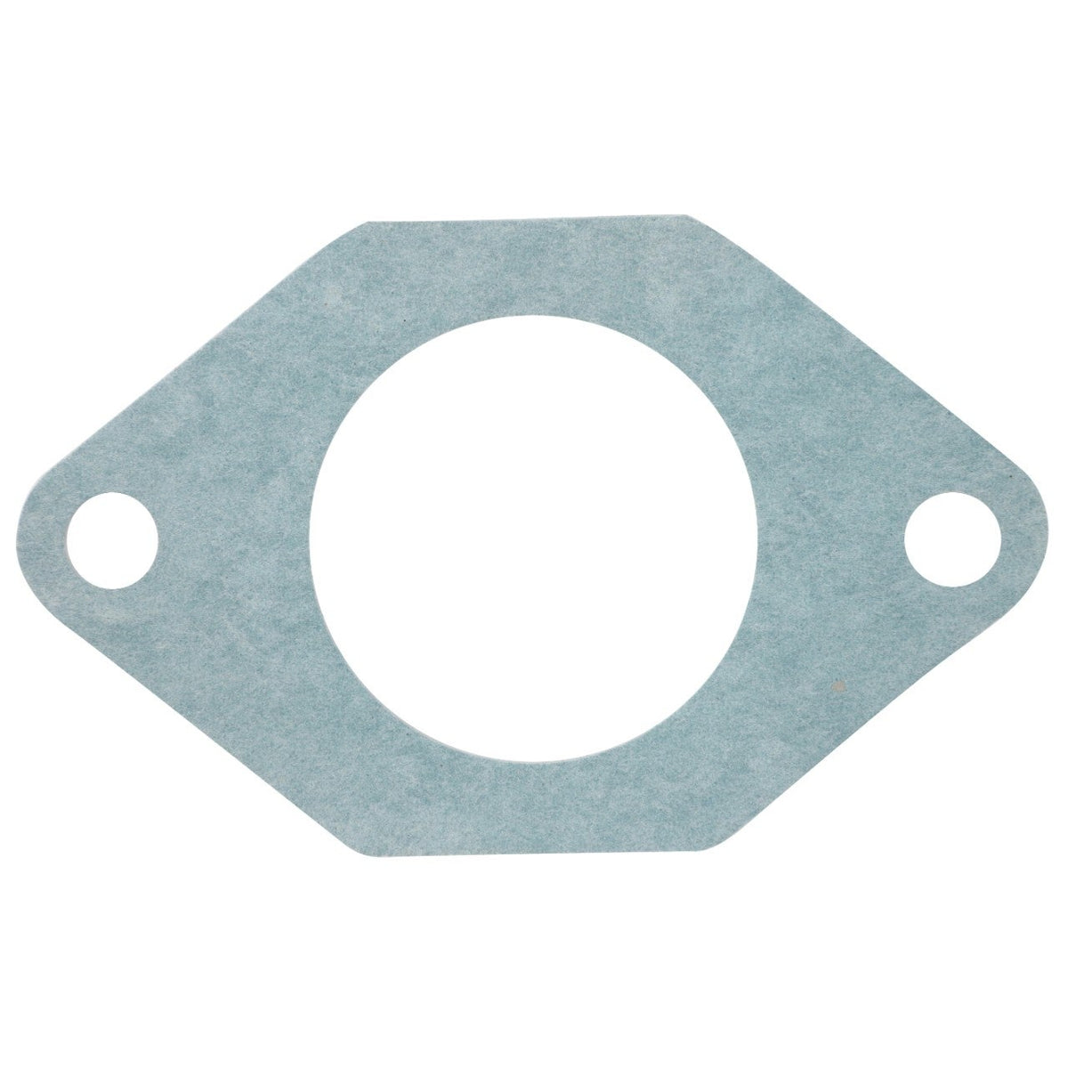AGCO (OEM) 3595174M2 Gasket