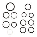 AGCO (OEM) AL5039046 Seals Kit