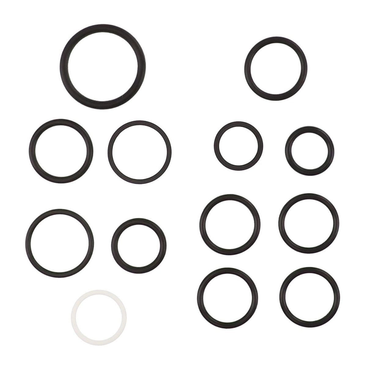 AGCO (OEM) AL5039046 Seals Kit