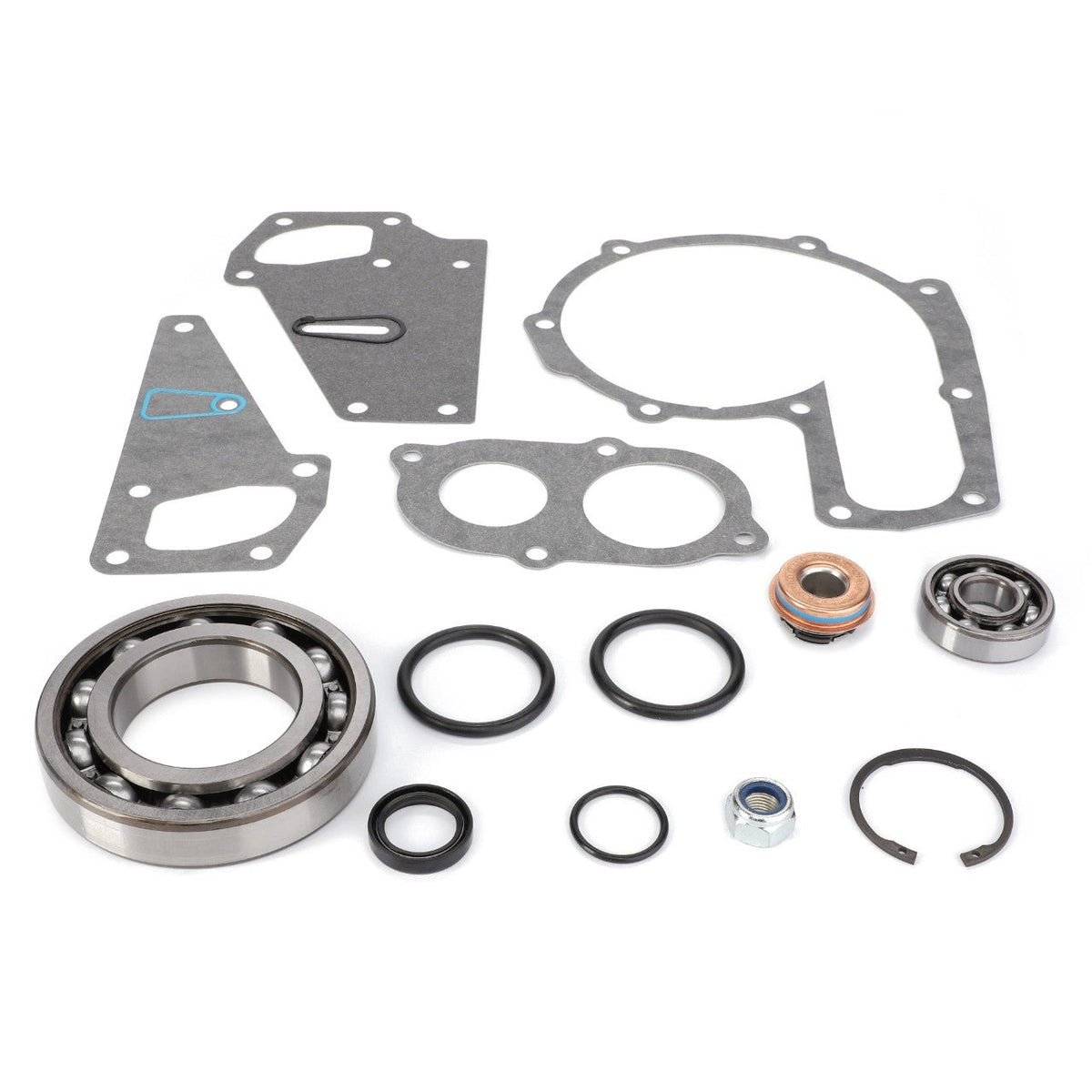 AGCO V836340257 — Water Pump, Repair Kit