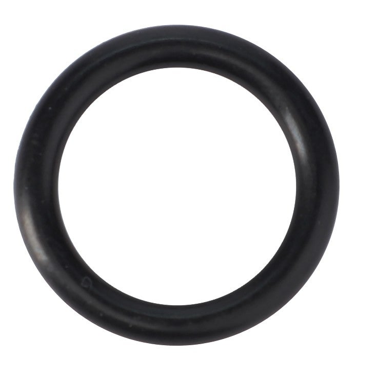 O-Ring, Hydraulics - 70925081