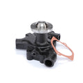 AGCO 4224105M91 — Water Pump, Without Pulley